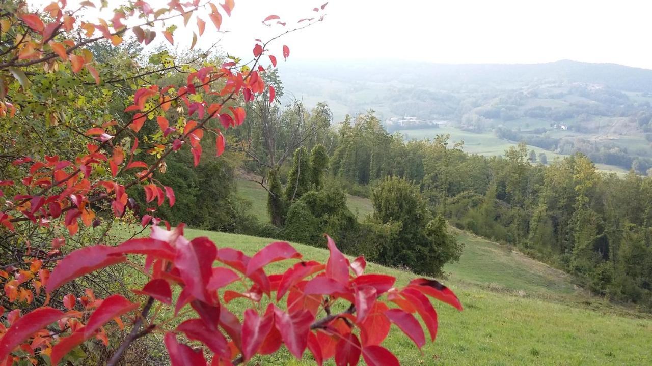 Uno Chalet Nel Bosco Villa Lama Mocogno Bagian luar foto