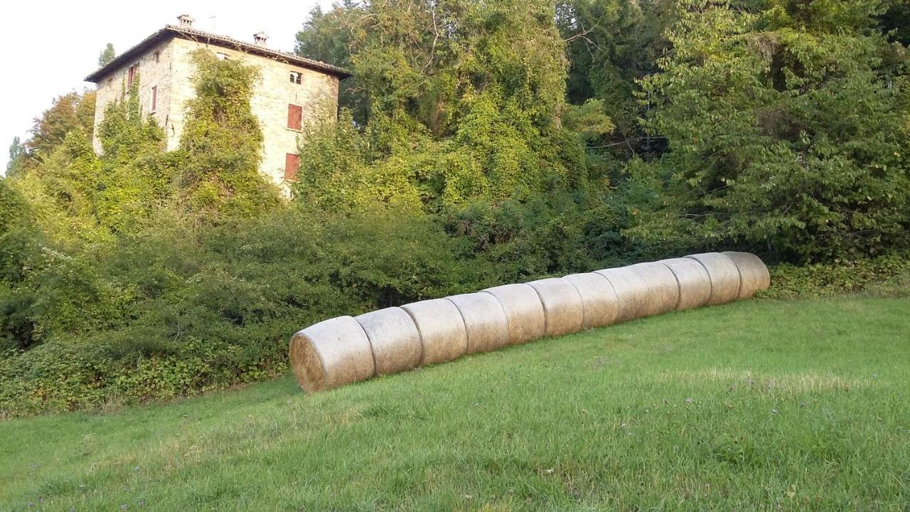 Uno Chalet Nel Bosco Villa Lama Mocogno Bagian luar foto